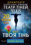 Театр Теней TEULIS. Шоу "Твоя тень"